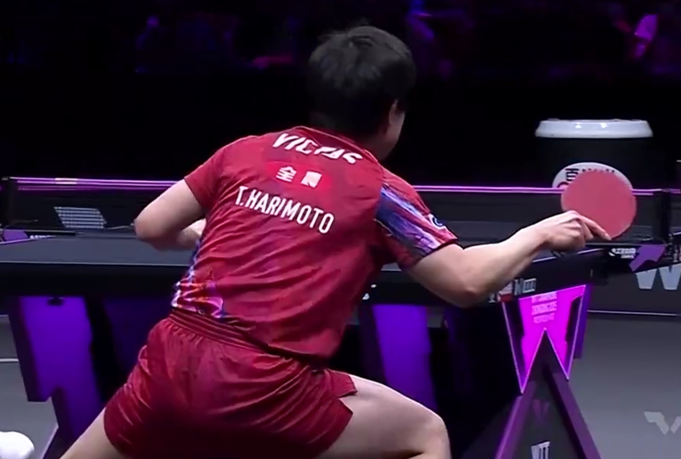 中国队碾压波兰队,张本智和高光表现 中国队碾压波兰队,张本智和高光表现