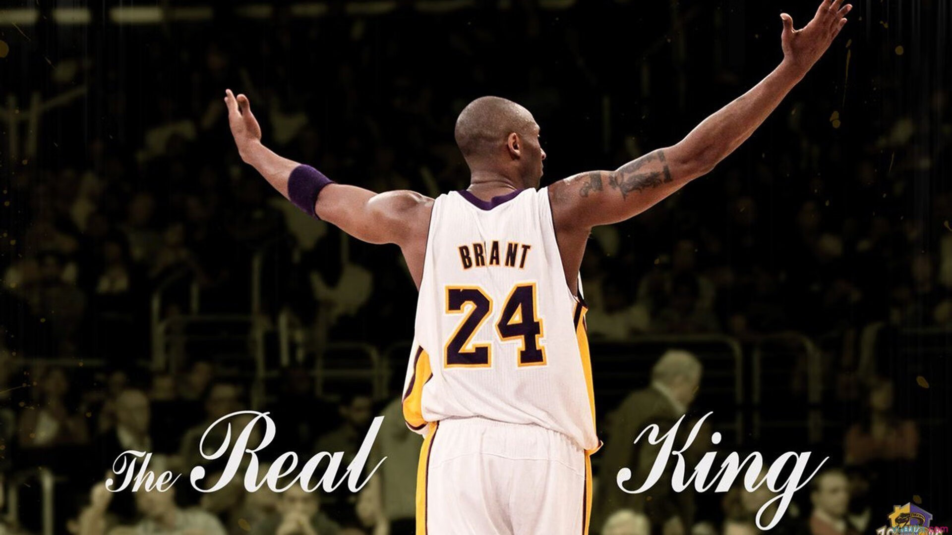 迪马利亚爆发点燃赛场，尼日利亚争冠战惊险战胜哥斯达黎加