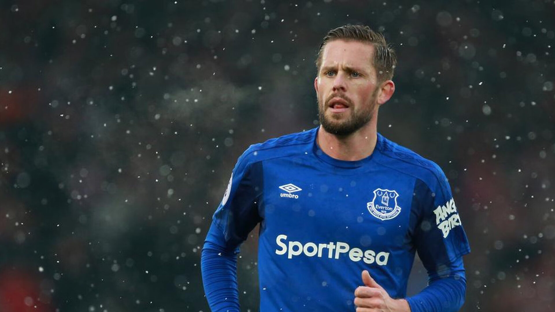 雷速网球直播-伊布数据核爆之夜，当上帝降临皇家社会对决勒沃库森