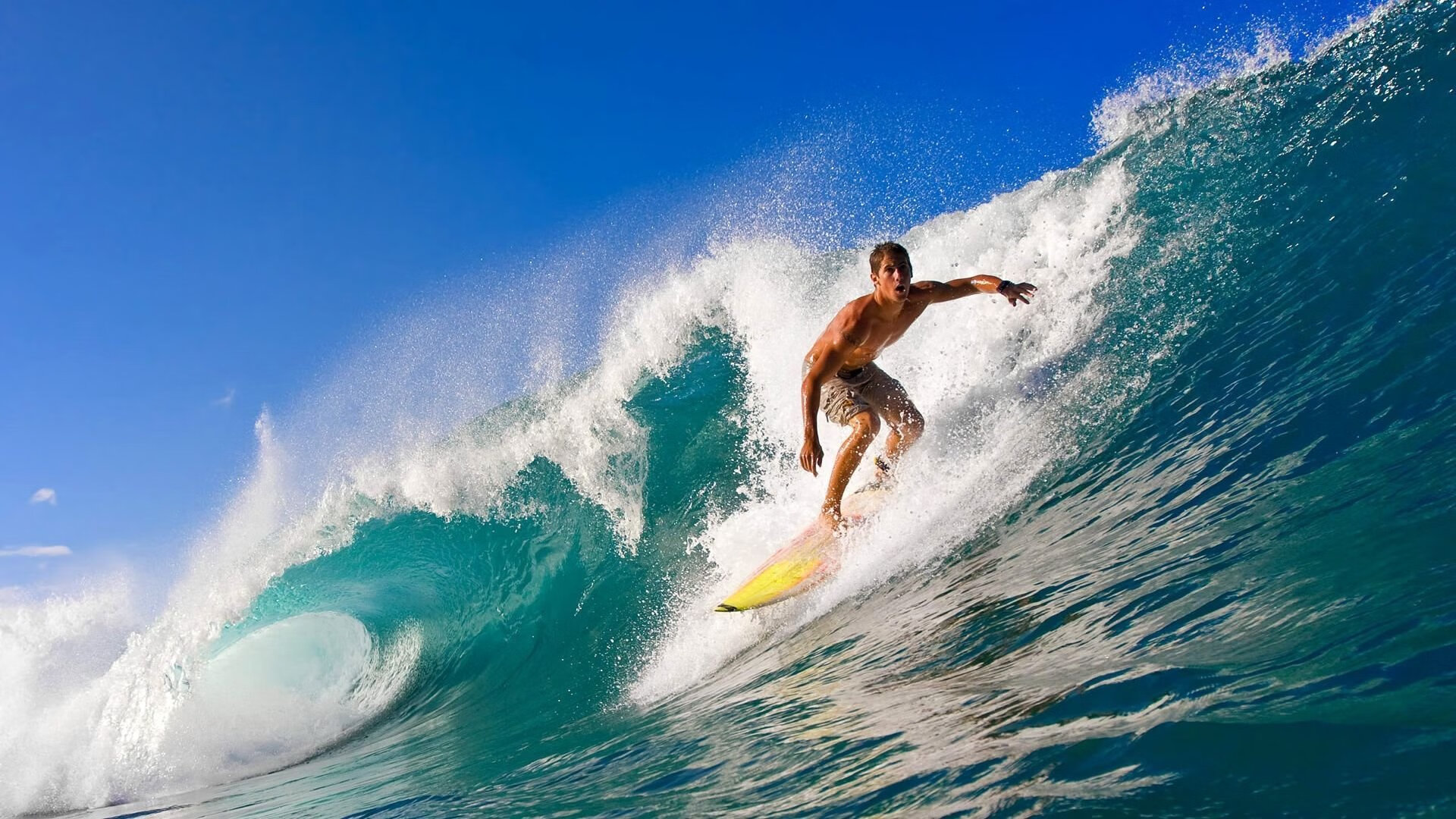 北非雄狮的怒吼，阿尔及利亚如何正面击溃曼城，萨拉赫如何成为关键先生